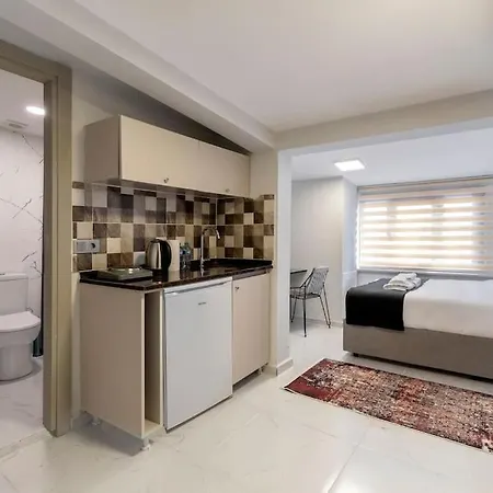 Lejlighed Cozy & Comfy Studio At Beyoglu - 47 Istanbul
