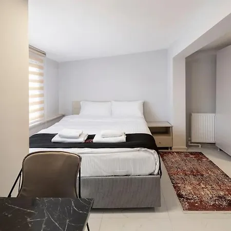 Cozy & Comfy Studio At Beyoglu - 47 * 伊斯坦布尔